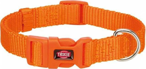 Köpek Premium Boyun Tasması S Turuncu-KONG
