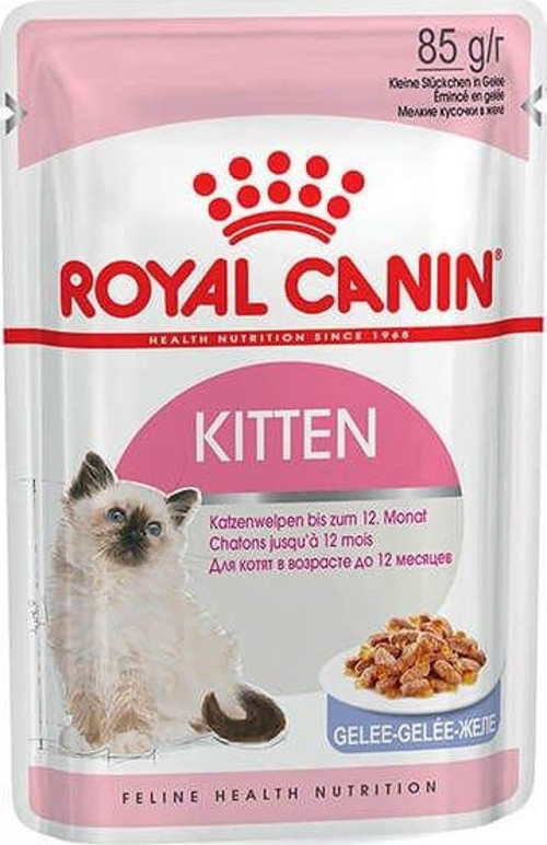 Kitten Jelly Pouch Yavru Kedi Maması 85 Gr - KONG