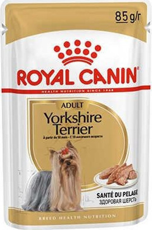 Yorkshire Terrier Adult Pouch Köpek Maması 85 Gr-KONG