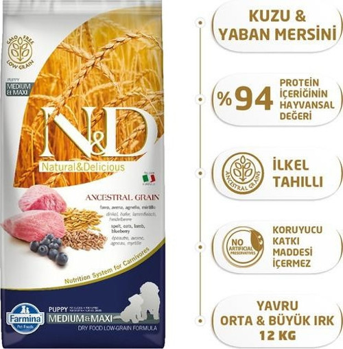 Düşük Tahıllı Kuzu Etli Orta ve Büyük Irk Yavru Köpek Maması 12 Kg