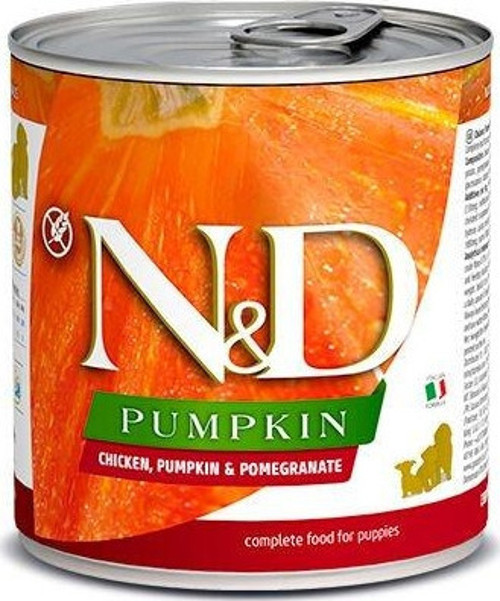 Pumpkin Tavuklu Yavru Köpek Konservesi 285 Gr