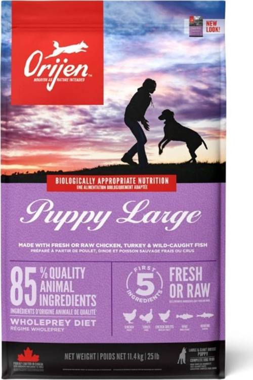 Dog Puppy Large Bred 11,4 Kg - KONG