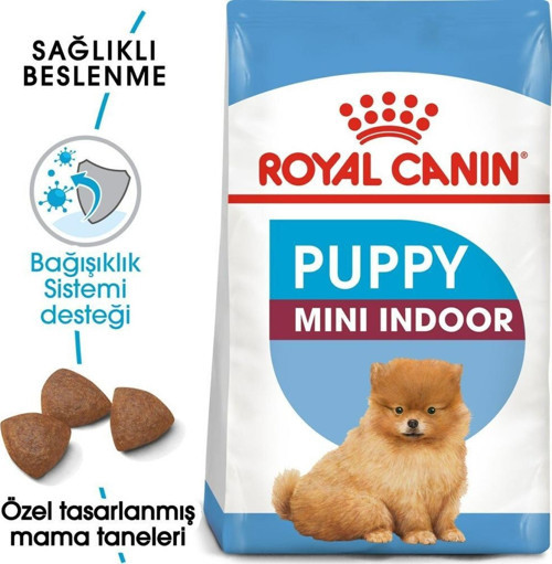 Mini Indoor Puppy 1,5 Kg