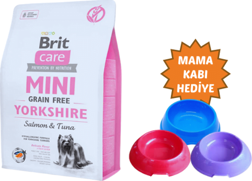 Yorkshire Somonlu Köpek Maması 2 kg Tahılsız