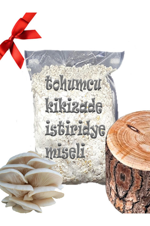 Kavak Ağacı Mantarı Tohumu Miseli 5Kg Yeni Misel Istiridye Mantarı ( Rehber Hediyeli ) Kayın,Kavak