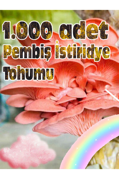 Pembe Istiridye Mantarı Miseli Tohumu Vakumlu 100 Gram ( Ekim Kılavuzu)