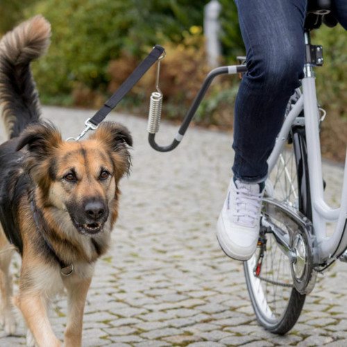 Bisiklet İçin Köpek Yürütme Aparatı U Şeklinde M-XL Köpek Irkları İçin