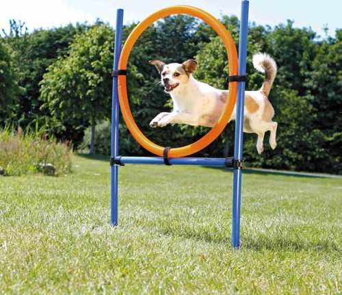 Köpek Agility Eğitim Çemberi 115×3cm 65cm - KONG