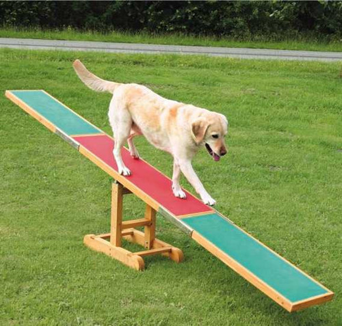 Köpek Agility Eğitim Tahterevalli - KONG