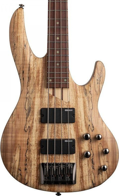 B-204 Spalted Maple Natural Bas Gitar