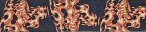 PLANETWAVES 50LT01