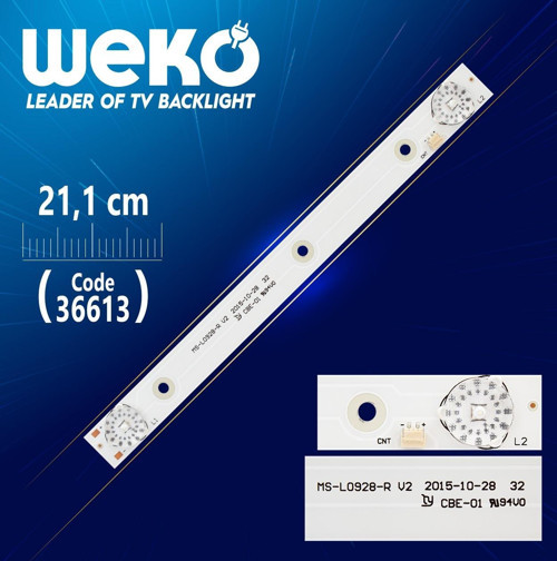 MS-L0928-R V2 2 LEDLİ 21.1 CM