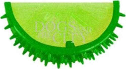 Dog Summer-Lemon