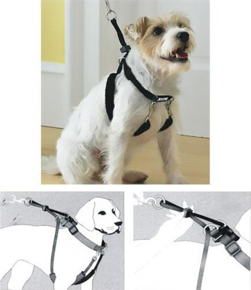 Dog Training XS (34"x9-12") Eğitim Tasması