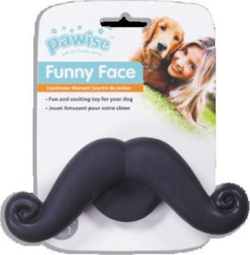 Vinyl Toy-Beard Köpek Oyuncağı