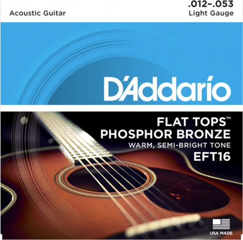 DADDARIO EFT16