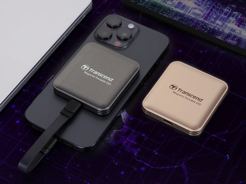 ESD420 Portable 1TB MagSafe Bej SSD (TS1TESD420G)