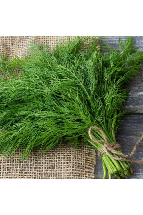 25 Adet Tohum Organik Bahçe Köy Domates Tohumu Taze Tohumlar Köy Domatesi Tohumu Saksı Toprak