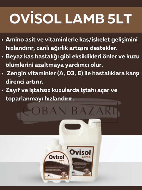 Ovisol Lamb 5 Lt
