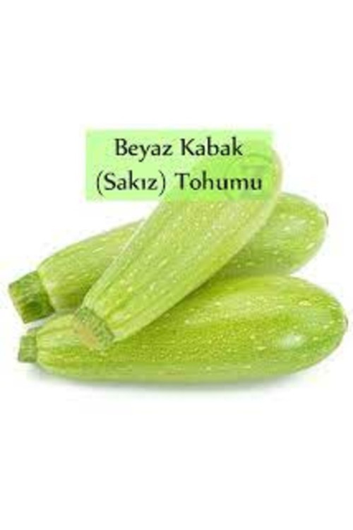 30 Adet Tohum Sarı Afrika Papatyası Tohumu Mezarlık Kabir Çiçeği Saksı Toprak Hediye