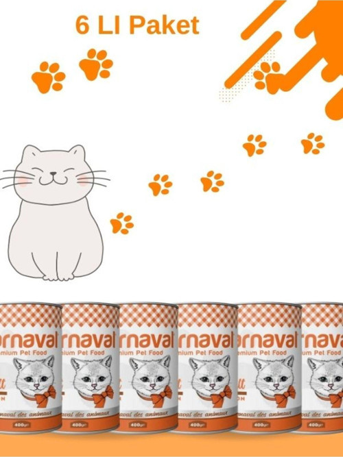Premium Yetişkin Kedi Konservesi Somon Balıklı 400 Gr 6 Lı Paket