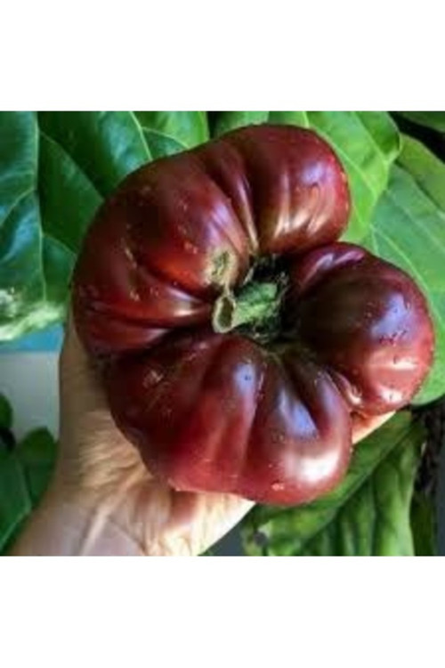 3 Kg Organik Saf Güvercin Gübresi Sebze Meyve Gübresi Güvercin Gübre