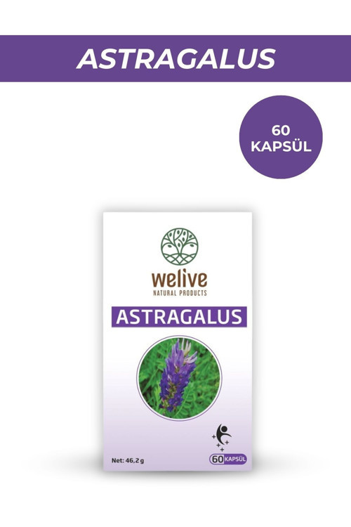 Astragalus Takviye Edici Gıda / 60 Cap