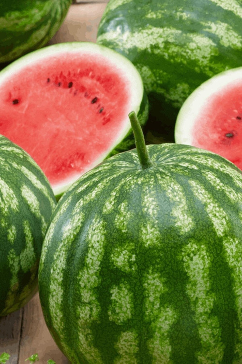 150 Adet Tohum Organik Crimson Sweet Karpuz Tohumu Organik Tarım Kapuz Tohumlu