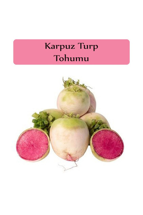 200 Adet İri Karpuz Turp Tohumu Organik Hobi Köy Tohumu Hediye Tohumlu