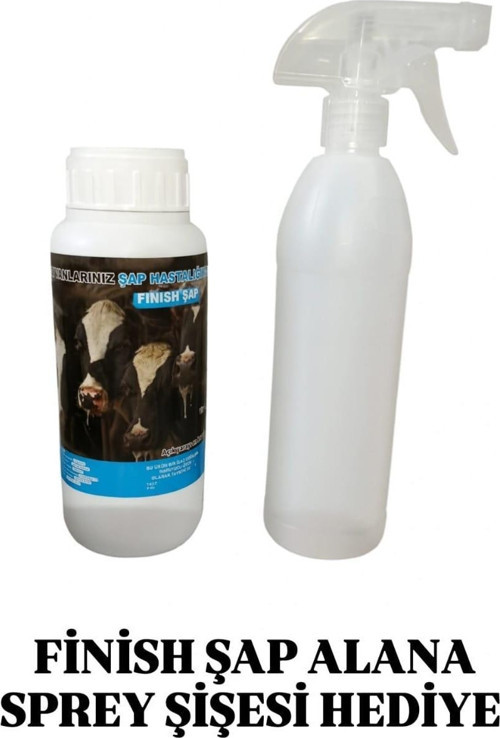 Fınısh Şap (Şapa SON) 600 Ml
