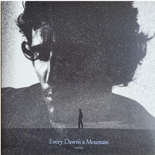 Tamino - Every Dawn's A Mountain / Plak