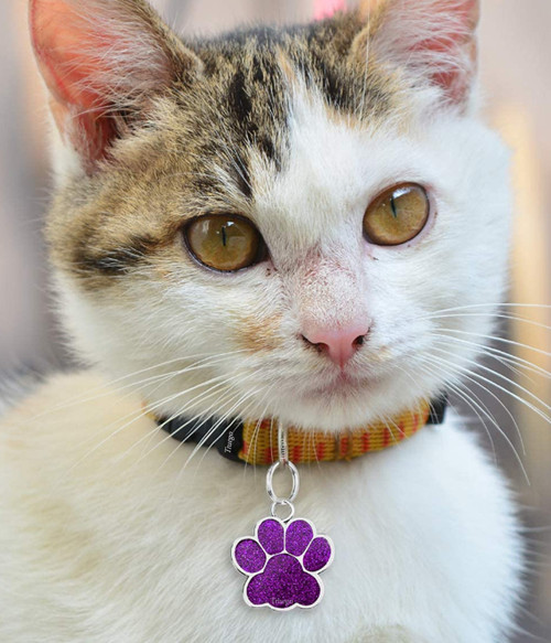 Pati Model Kişiye Özel Kedi ve Köpek İsim Künyesi - Mor