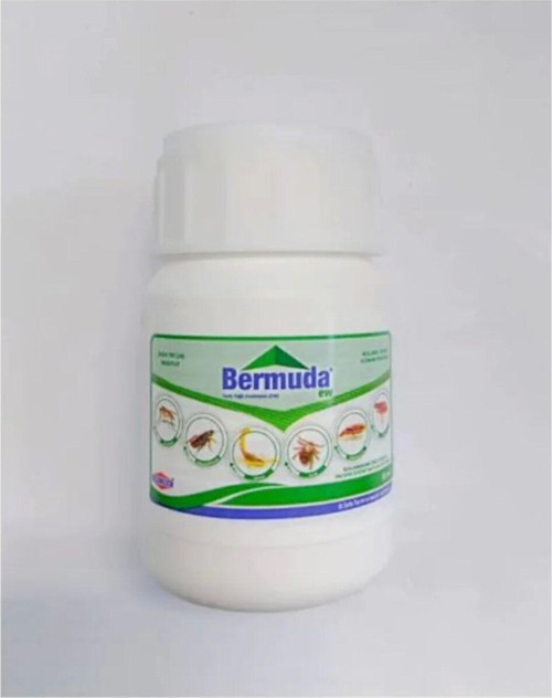 Bermuda Ew 50 Ml