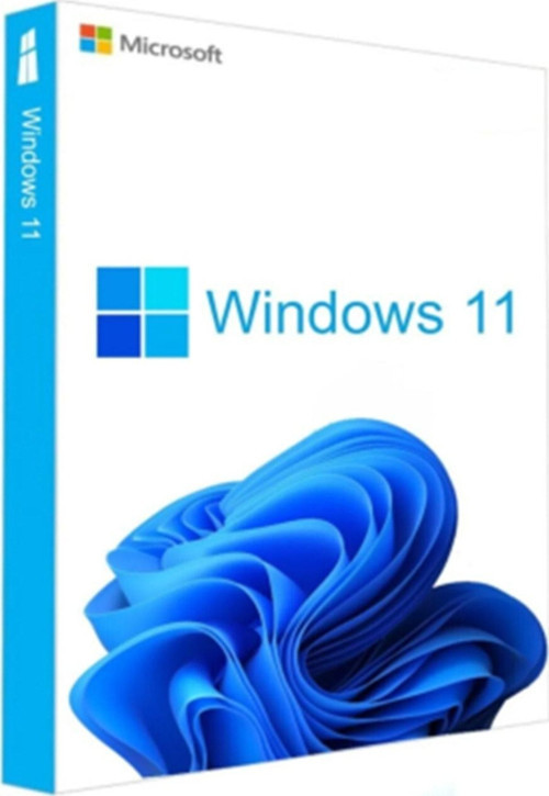 Windows 11 Pro Lisans