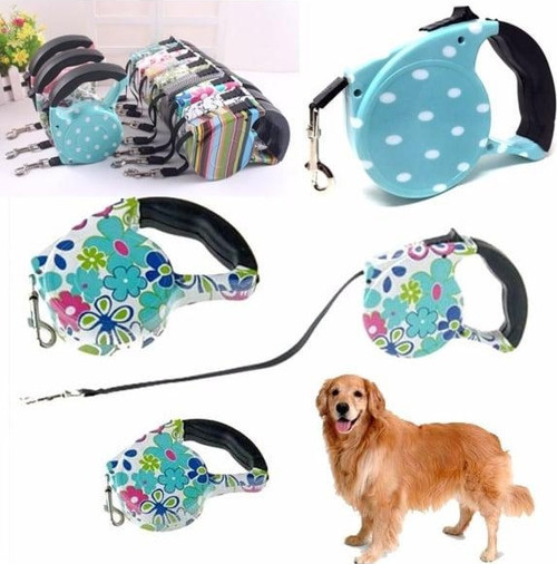 Desenli Köpek Tasması - Pup Style