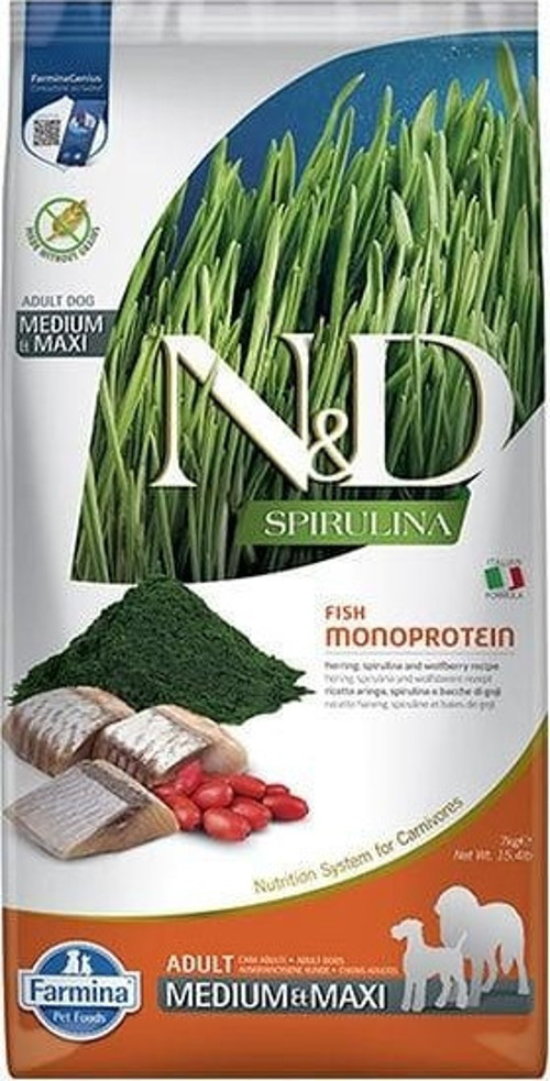 Spirulina Ringa Balıklı Medium Maxi Yetişkin Köpek Maması 7 Kg