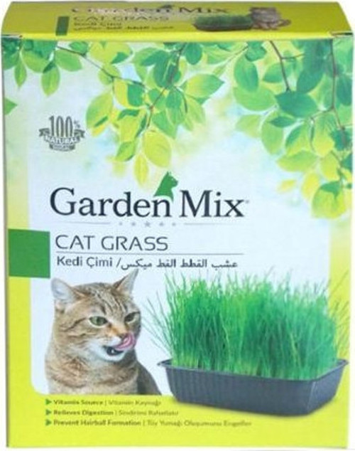 Kedi Çimi