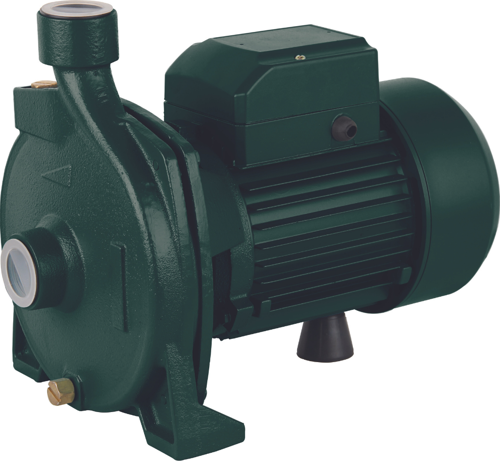 KLP158BPA 750W 1 Hp Bahçe Pompası