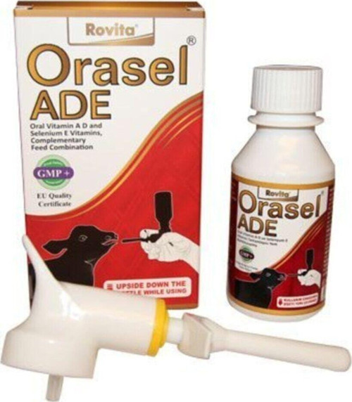 Royal Rovita Orasel ADE 100 Ml