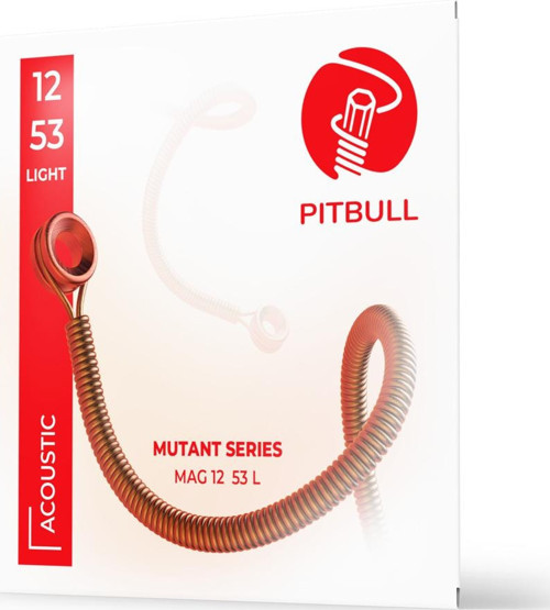 String Mutant Seri Akustik Gitar Teli MAG 12-53 L (Pena Hediyeli)