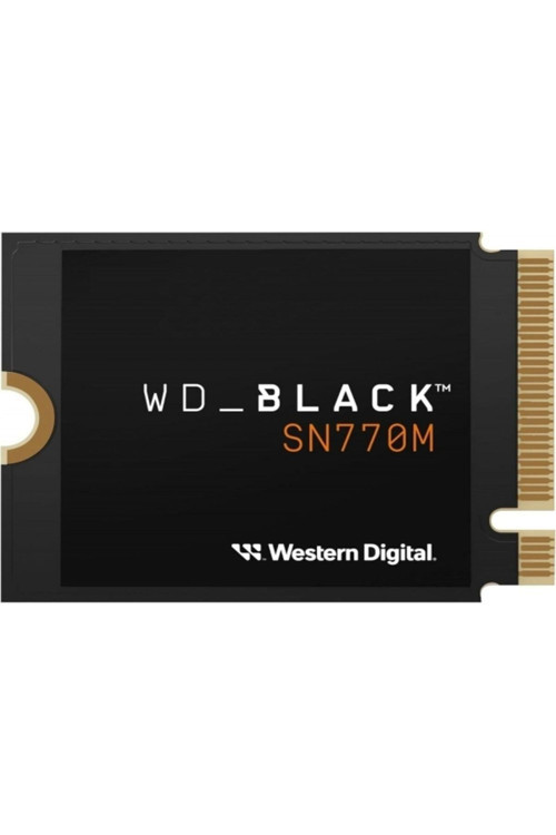 Black SN770M SSD (500 Gb) (WDS500G3X0G)
