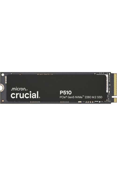 P510 2TB PCIe Gen5 NVMe 2280 M.2 SSD CT2000P510SSD8 (10000-8700 MBs)