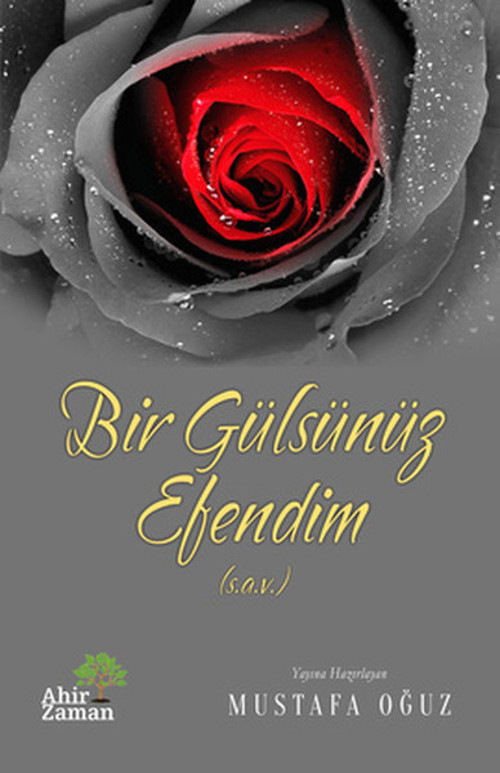 Bir Gülsünüz Efendim