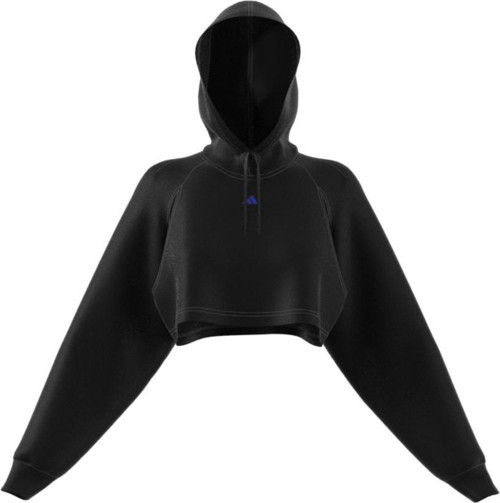 HIIT Aeroready Crop Kadın Training Sweatshirt HN7769