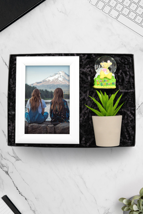 Beyaz Çerçeve & Yapay Mini Saksı Çiçek & Ayıcıklı Happy Birthday Kar Küre Hediye Seti