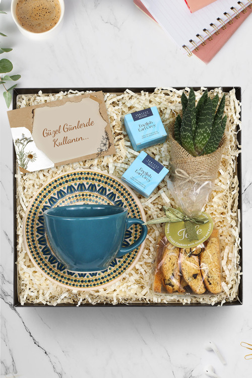 Lacivert Çay Ve Kahve Fincanı & Canlı Sukulent Çiçek & 2'Li Bitki Çayı & Kurabiye Seti