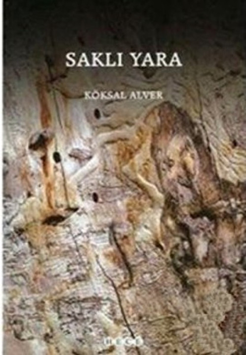 Hece Yayınları Saklı Yara