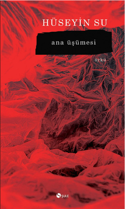 Şule Yayınları Ana Üşümesi