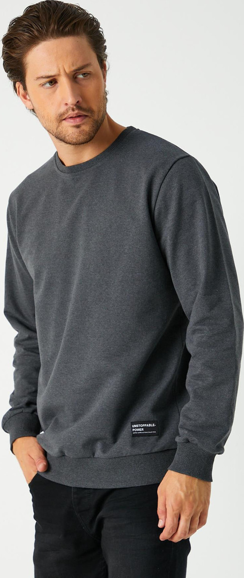Erkek Antrasit Basic Bisiklet Yaka Regular Fit Normal Kesim 2 İplik Sweatshirt