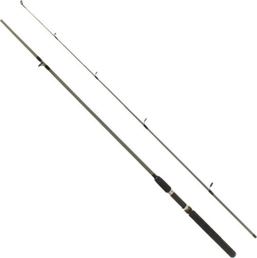 Flex Spin 165cm 10-30g 2 Parça Spin Kamışı